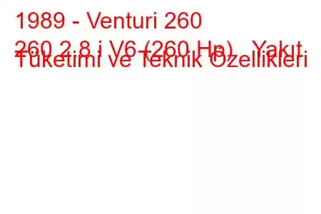 1989 - Venturi 260
260 2.8 i V6 (260 Hp) Yakıt Tüketimi ve Teknik Özellikleri