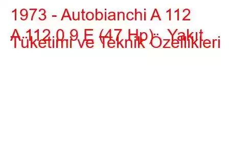 1973 - Autobianchi A 112
A 112 0.9 E (47 Hp) Yakıt Tüketimi ve Teknik Özellikleri