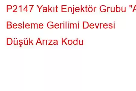 P2147 Yakıt Enjektör Grubu 