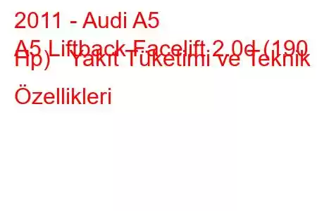 2011 - Audi A5
A5 Liftback Facelift 2.0d (190 Hp) Yakıt Tüketimi ve Teknik Özellikleri