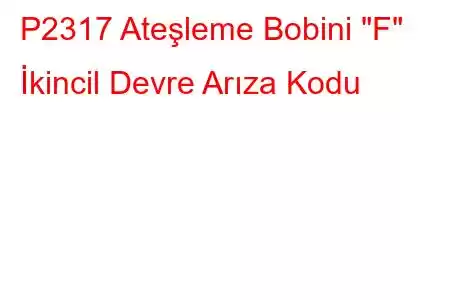 P2317 Ateşleme Bobini 