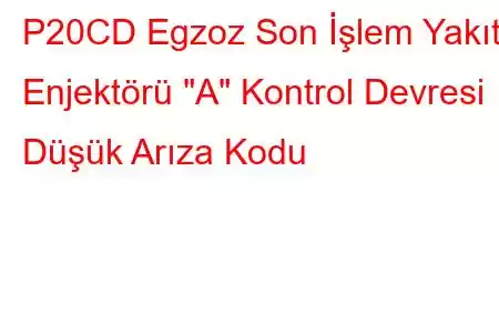 P20CD Egzoz Son İşlem Yakıt Enjektörü 