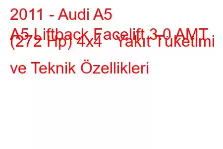 2011 - Audi A5
A5 Liftback Facelift 3.0 AMT (272 Hp) 4x4 Yakıt Tüketimi ve Teknik Özellikleri