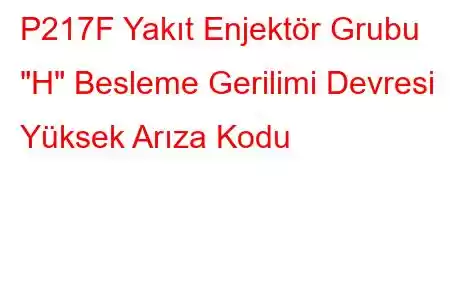 P217F Yakıt Enjektör Grubu 