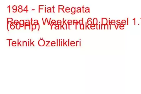 1984 - Fiat Regata
Regata Weekend 60 Diesel 1.7 (60 Hp) Yakıt Tüketimi ve Teknik Özellikleri