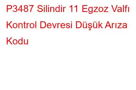 P3487 Silindir 11 Egzoz Valfı Kontrol Devresi Düşük Arıza Kodu