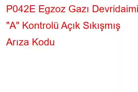 P042E Egzoz Gazı Devridaimi 