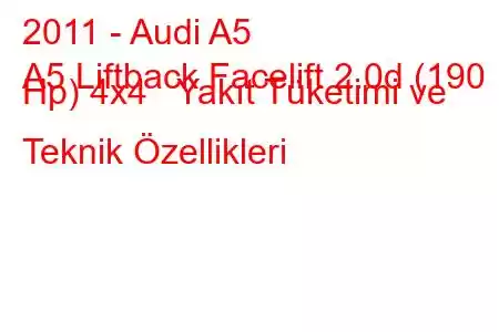 2011 - Audi A5
A5 Liftback Facelift 2.0d (190 Hp) 4x4 Yakıt Tüketimi ve Teknik Özellikleri