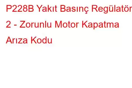 P228B Yakıt Basınç Regülatörü 2 - Zorunlu Motor Kapatma Arıza Kodu