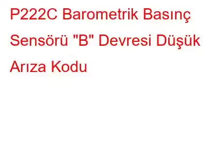 P222C Barometrik Basınç Sensörü 