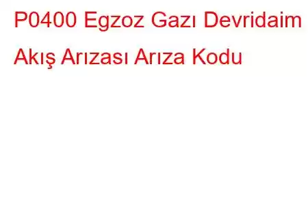 P0400 Egzoz Gazı Devridaim Akış Arızası Arıza Kodu