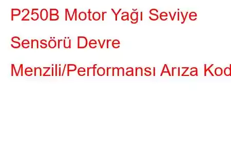 P250B Motor Yağı Seviye Sensörü Devre Menzili/Performansı Arıza Kodu