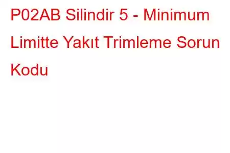 P02AB Silindir 5 - Minimum Limitte Yakıt Trimleme Sorun Kodu