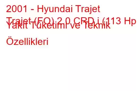 2001 - Hyundai Trajet
Trajet (FO) 2.0 CRD i (113 Hp) Yakıt Tüketimi ve Teknik Özellikleri