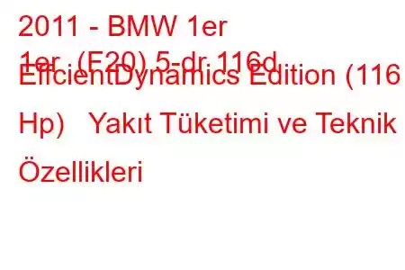 2011 - BMW 1er
1er (F20) 5-dr 116d EffcientDynamics Edition (116 Hp) Yakıt Tüketimi ve Teknik Özellikleri