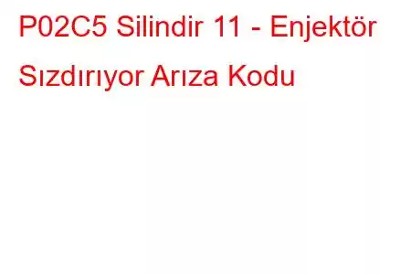 P02C5 Silindir 11 - Enjektör Sızdırıyor Arıza Kodu