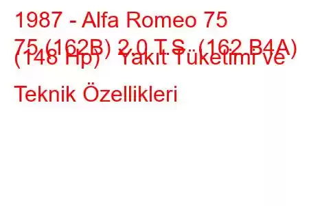 1987 - Alfa Romeo 75
75 (162B) 2.0 T.S. (162.B4A) (148 Hp) Yakıt Tüketimi ve Teknik Özellikleri