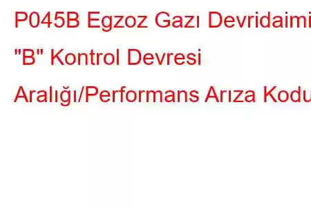 P045B Egzoz Gazı Devridaimi 