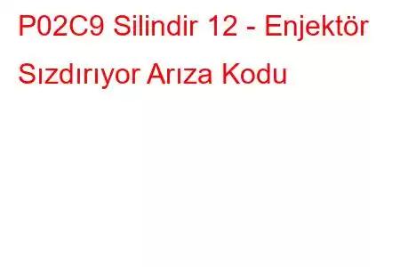 P02C9 Silindir 12 - Enjektör Sızdırıyor Arıza Kodu