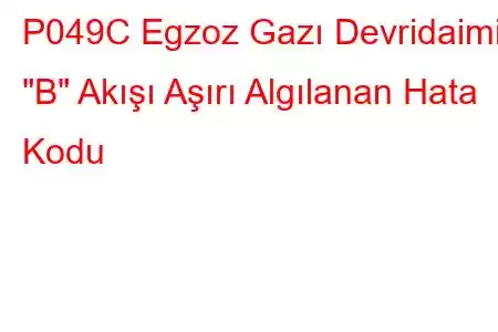 P049C Egzoz Gazı Devridaimi 