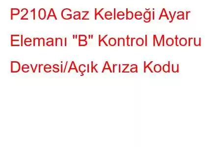 P210A Gaz Kelebeği Ayar Elemanı 