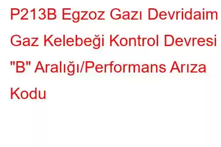 P213B Egzoz Gazı Devridaim Gaz Kelebeği Kontrol Devresi 