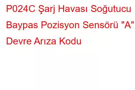 P024C Şarj Havası Soğutucu Baypas Pozisyon Sensörü 