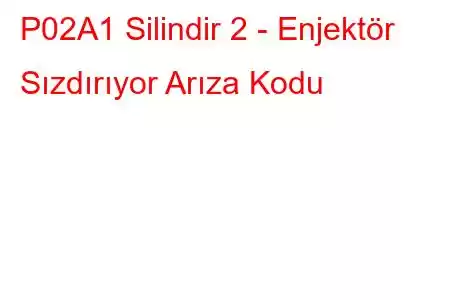 P02A1 Silindir 2 - Enjektör Sızdırıyor Arıza Kodu