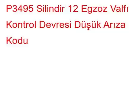 P3495 Silindir 12 Egzoz Valfı Kontrol Devresi Düşük Arıza Kodu