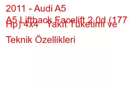 2011 - Audi A5
A5 Liftback Facelift 2.0d (177 Hp) 4x4 Yakıt Tüketimi ve Teknik Özellikleri