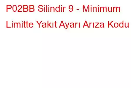 P02BB Silindir 9 - Minimum Limitte Yakıt Ayarı Arıza Kodu