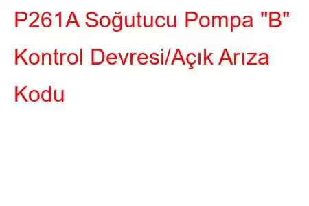 P261A Soğutucu Pompa 