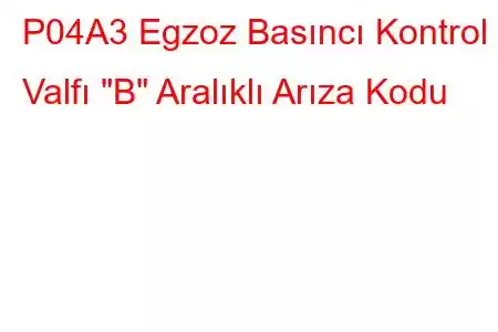 P04A3 Egzoz Basıncı Kontrol Valfı 