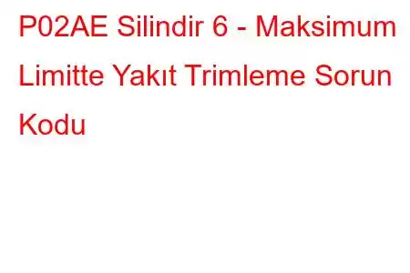 P02AE Silindir 6 - Maksimum Limitte Yakıt Trimleme Sorun Kodu