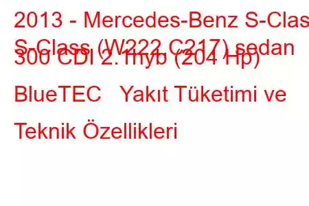 2013 - Mercedes-Benz S-Class
S-Class (W222,C217) sedan 300 CDI 2.1hyb (204 Hp) BlueTEC Yakıt Tüketimi ve Teknik Özellikleri