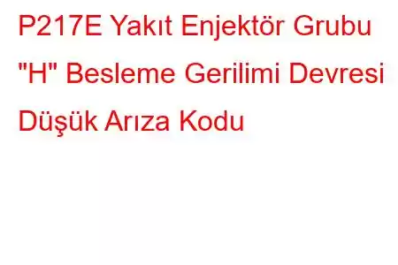 P217E Yakıt Enjektör Grubu 