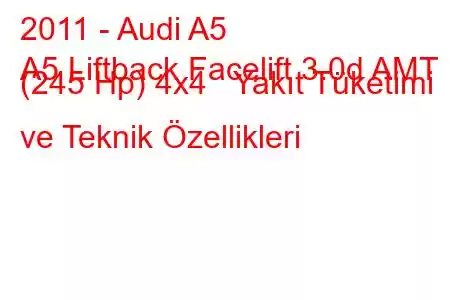 2011 - Audi A5
A5 Liftback Facelift 3.0d AMT (245 Hp) 4x4 Yakıt Tüketimi ve Teknik Özellikleri