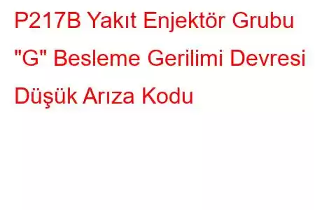 P217B Yakıt Enjektör Grubu 