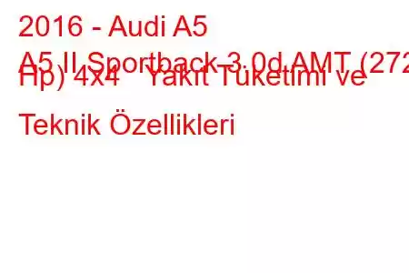 2016 - Audi A5
A5 II Sportback 3.0d AMT (272 Hp) 4x4 Yakıt Tüketimi ve Teknik Özellikleri