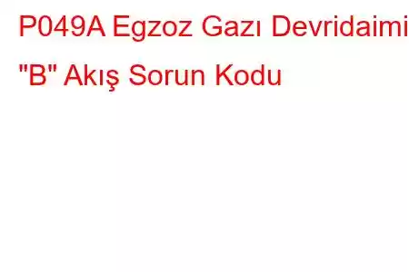 P049A Egzoz Gazı Devridaimi 