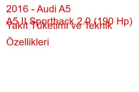 2016 - Audi A5
A5 II Sportback 2.0 (190 Hp) Yakıt Tüketimi ve Teknik Özellikleri