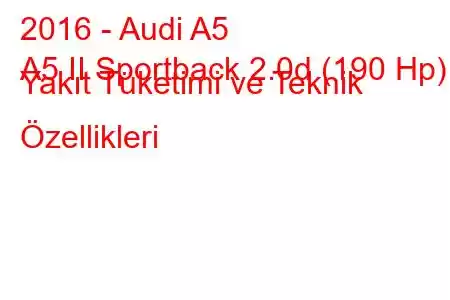 2016 - Audi A5
A5 II Sportback 2.0d (190 Hp) Yakıt Tüketimi ve Teknik Özellikleri