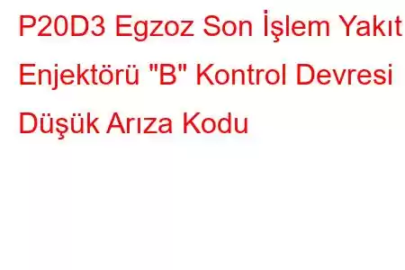 P20D3 Egzoz Son İşlem Yakıt Enjektörü 