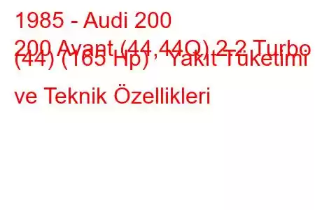 1985 - Audi 200
200 Avant (44,44Q) 2.2 Turbo (44) (165 Hp) Yakıt Tüketimi ve Teknik Özellikleri