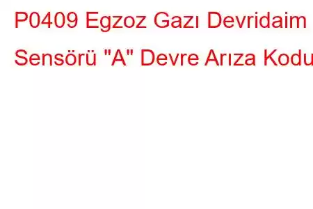 P0409 Egzoz Gazı Devridaim Sensörü 