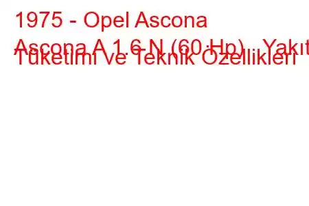 1975 - Opel Ascona
Ascona A 1.6 N (60 Hp) Yakıt Tüketimi ve Teknik Özellikleri