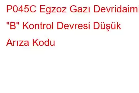 P045C Egzoz Gazı Devridaimi 