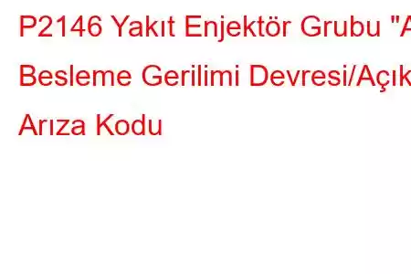 P2146 Yakıt Enjektör Grubu 