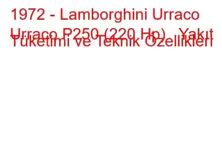 1972 - Lamborghini Urraco
Urraco P250 (220 Hp) Yakıt Tüketimi ve Teknik Özellikleri