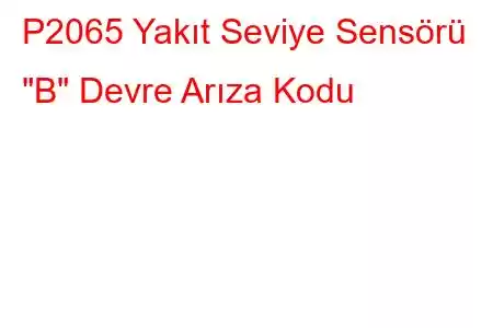 P2065 Yakıt Seviye Sensörü 